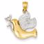 C3970 Confirmation/Communion 14k w/Rhodium Peace Dove Pendant