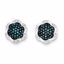 QE10791 White Night Sterling Silver Blue Diamond Flower Post Earrings
