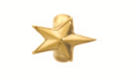 1525 Rising Star - 18K Gold Plated