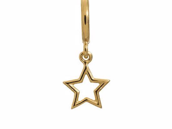 53204 Star Gold