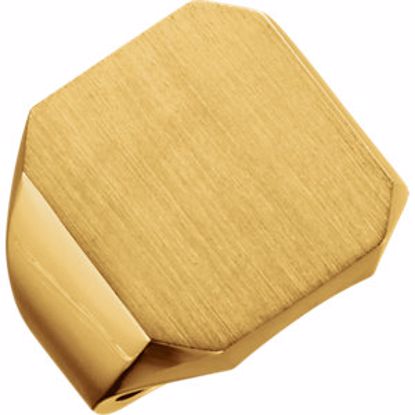 9128:117786:P 14kt Yellow 20x18mm Men's Signet Ring