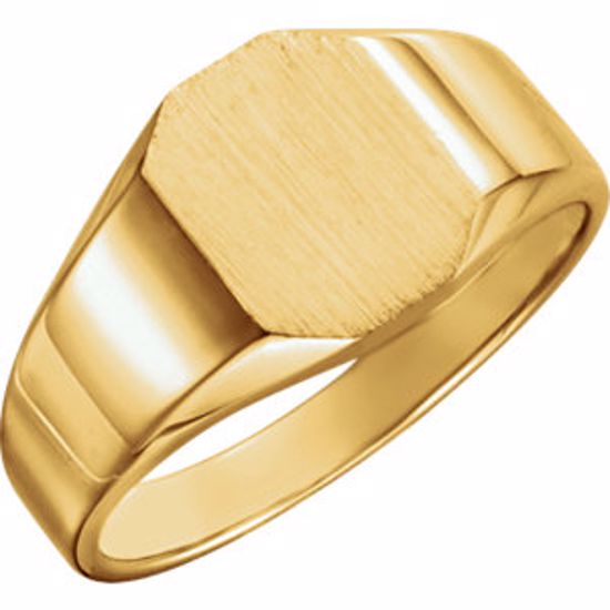 5760:123738:P 14kt Yellow 9x7mm Octagon Signet Ring