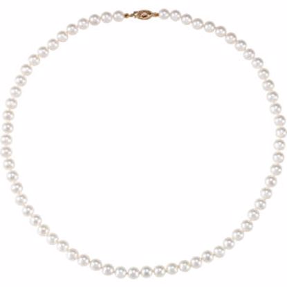 61202:214614:P 14kt Yellow 6-6.5mm Akoya Cultured Pearl 18" Strand