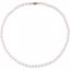 61202:214614:P 14kt Yellow 6-6.5mm Akoya Cultured Pearl 18" Strand