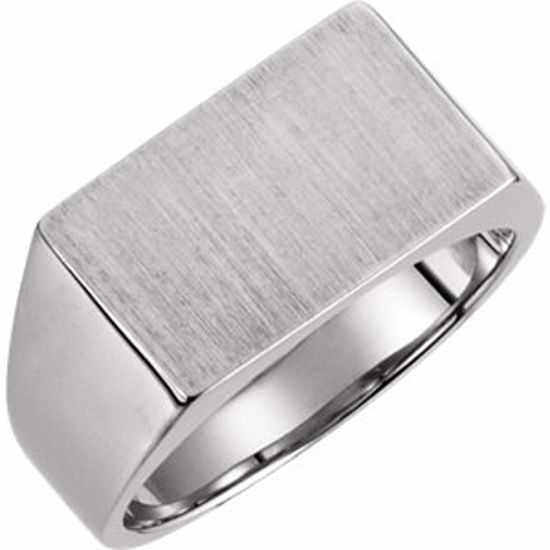 5558:48019:P 14kt White Signet Ring
