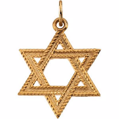 R16409:104075:P 14kt Yellow 23x18mm Star of David Pendant