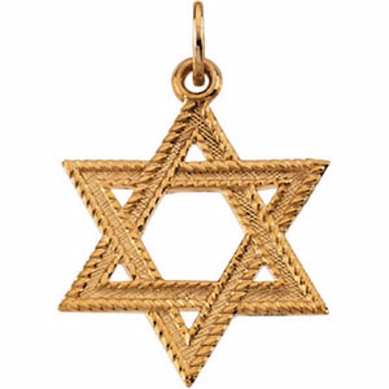 R16409:104075:P 14kt Yellow 23x18mm Star of David Pendant
