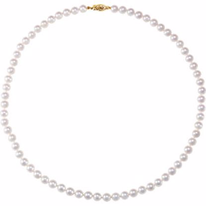 61203:214617:P 14kt Yellow 6-6.5mm Akoya Cultured Pearl 18" Strand