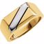 9615:234651:P 18kt Yellow & Platinum Band