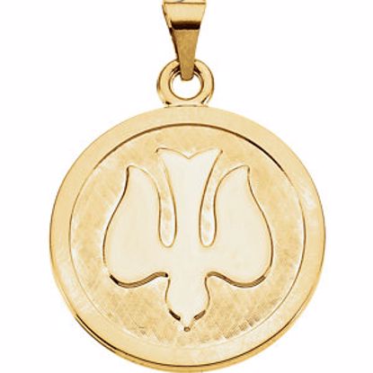 R16462:128261:P 14kt Yellow 23mm Holy Spirit (Dove) Medal