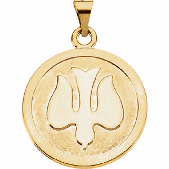 R16462:128261:P 14kt Yellow 23mm Holy Spirit (Dove) Medal