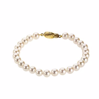 61202:214598:P 14kt Yellow 6-6.5mm Akoya Cultured Pearl 7" Bracelet