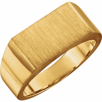 9468:48024:P 14kt Yellow 15x9mm Men's Signet Ring