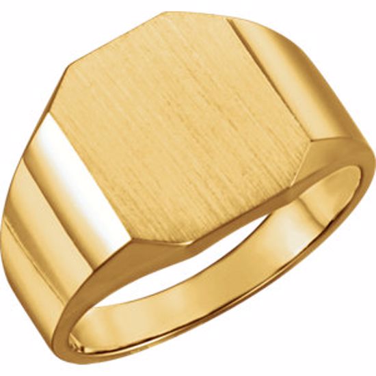 9599:113020:P 14kt Yellow 14x12mm Octagon Men's Signet Ring