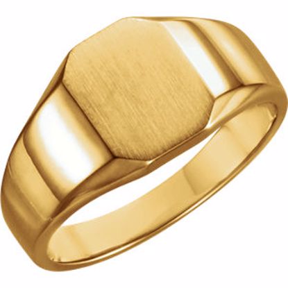 5669:113040:P 14kt Yellow 9X7mm Octagon Signet Ring