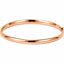 BRC181:240492:P 14kt White 4.75mm Hinged Bangle Bracelet