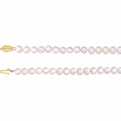61651:253260:P 14kt Yellow Freshwater Cultured Pearl 18" Necklace