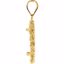 CF37R:3771:P 14kt Yellow 16.4x1.1mm Tab Back 2.5mm Solid Rope Coin Frame Pendant for 1/10 Ounce American Eagle or 1/10 Ounce South African Rand