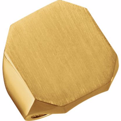 9599:113035:P 14kt Yellow 22x20mm Octagon Men's Signet Ring