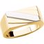 9617:136410:P 14kt Yellow Men's Ring
