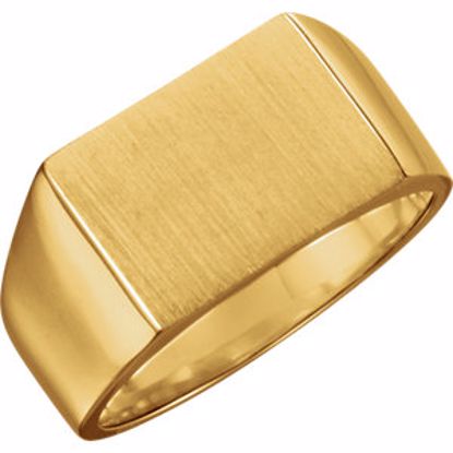 9468:162130:P 14kt Yellow 15x11mm Men's Signet Ring