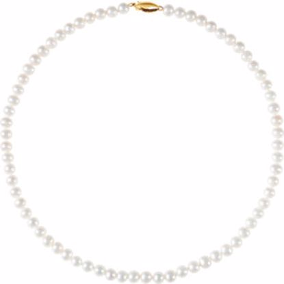61668:253279:P 14kt Yellow Freshwater Cultured Pearl 16" Necklace