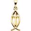 R5063:63476:P 10kt Yellow 14x6mm Fish Pendant with Cross