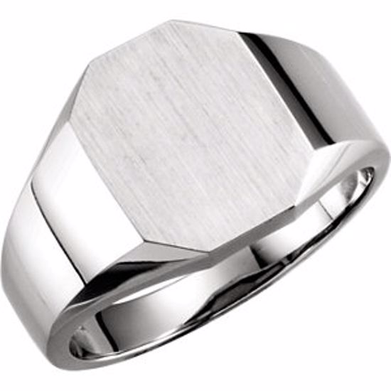 5760:123743:P 14kt White 11x9mm Octagon Signet Ring