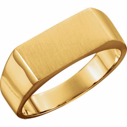 9468:162126:P 14kt Yellow 15x7.5mm Men's Signet Ring