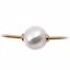 62881:283053:P 18kt Yellow 12mm South Sea Cultured Pearl Necklace