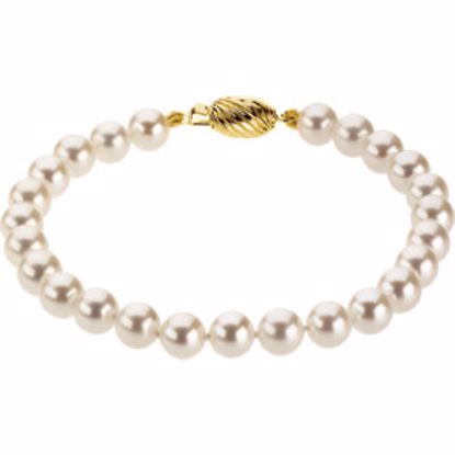 61203:214616:P 14kt Yellow 6-6.5mm Akoya Cultured Pearl 7" Bracelet