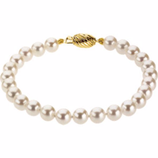 61203:214616:P 14kt Yellow 6-6.5mm Akoya Cultured Pearl 7" Bracelet