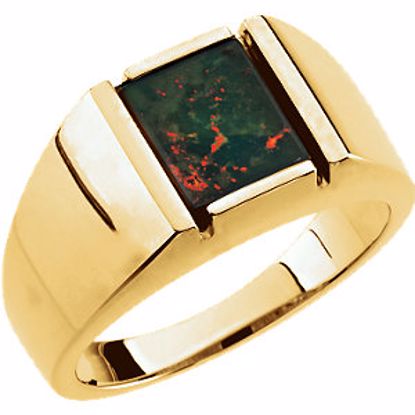64221:100459:P 14kt Yellow Bloodstone Men's Ring