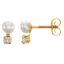 19155:2468300:P 14kt Yellow Youth Freshwater Cultured Pearl and Cubic Zirconia Earrings