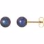 61660:2533630:P 14kt Yellow 5.5-6mm Black Freshwater Cultured Pearl Earrings