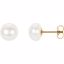 61661:2533690:P 14kt Yellow Freshwater Cultured Pearl Earrings