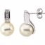 21679:2554480:P 14kt White 16x3.5mm Pearl & Diamond Earrings