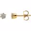62861:2796760:P 1/3 CTW Diamond Friction Post Stud Earrings