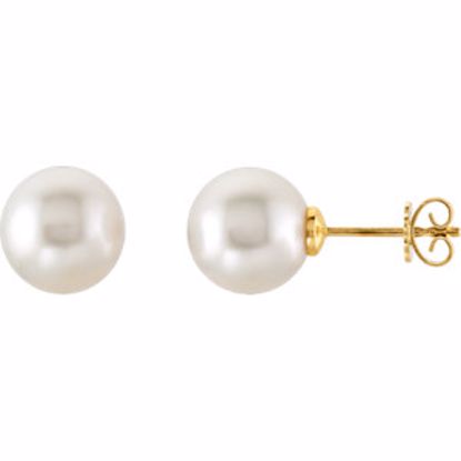 62955:2939380:P 14kt Yellow 15mm South Sea Cultured Pearl Earrings 