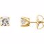 64847:218116:P Charles & Colvard Moissanite® Solstice Solitaire® Stud Earrings