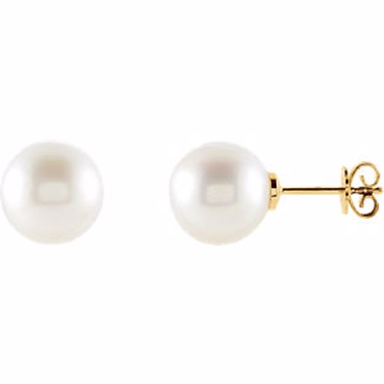 63484:2939910:P 18kt Yellow 12mm Round South Sea Pearl Earrings