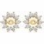 61018:2621820:P 14kt Yellow 5/8 CTW Diamond Earring Jackets