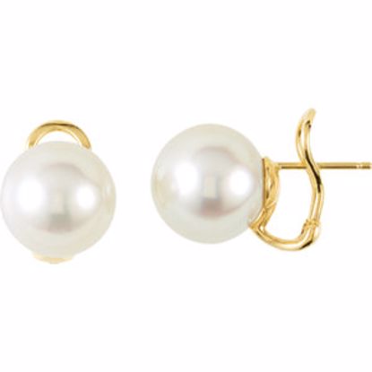 64817:100400:P 14kt Yellow 13mm Near Round South Sea Cultured Fashion Pearl Earrings