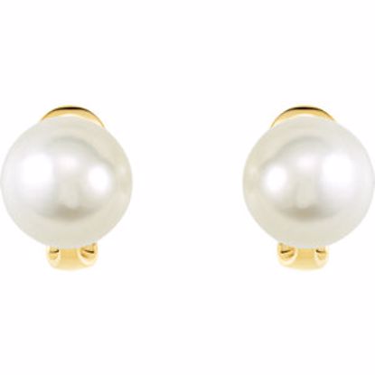 64851:100400:P 14kt Yellow 13mm Full Button South Sea Cultured Fashion Pearl Earrings