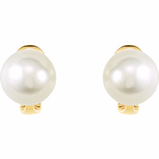 64851:100400:P 14kt Yellow 13mm Full Button South Sea Cultured Fashion Pearl Earrings