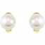 64851:100500:P 14kt Yellow 14mm Full Button South Sea Cultured Fashion Pearl Earrings