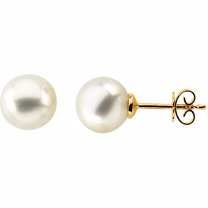 62960:2939720:P 14kt Yellow 15mm Button South Sea Cultured Pearl Earrings