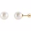 63484:2939960:P 14kt Yellow 14mm Round South Sea Pearl Earrings