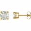 63265:2899830:P 14kt Yellow 6mm Round Forever Classic™ Moissanite 
Earrings