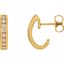 60793:2629320:P 14kt Yellow 1/3 CTW Diamond Earrings